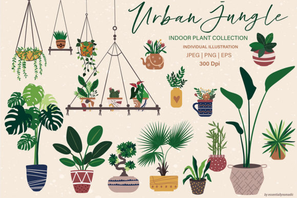 Hand Drawn Botanical Plant Illustration